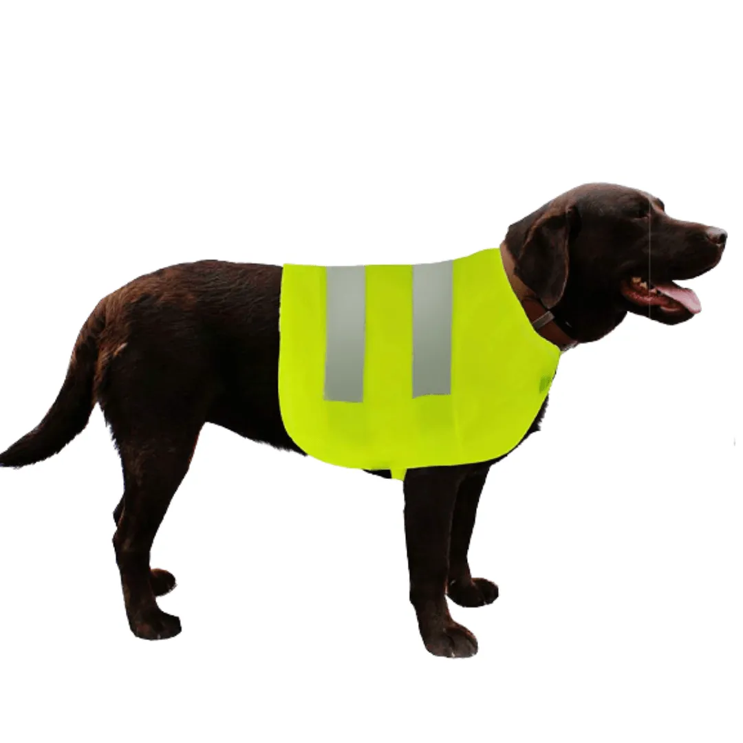 Crufts High Visibility Pet Safety Vest - Assorted Sizes