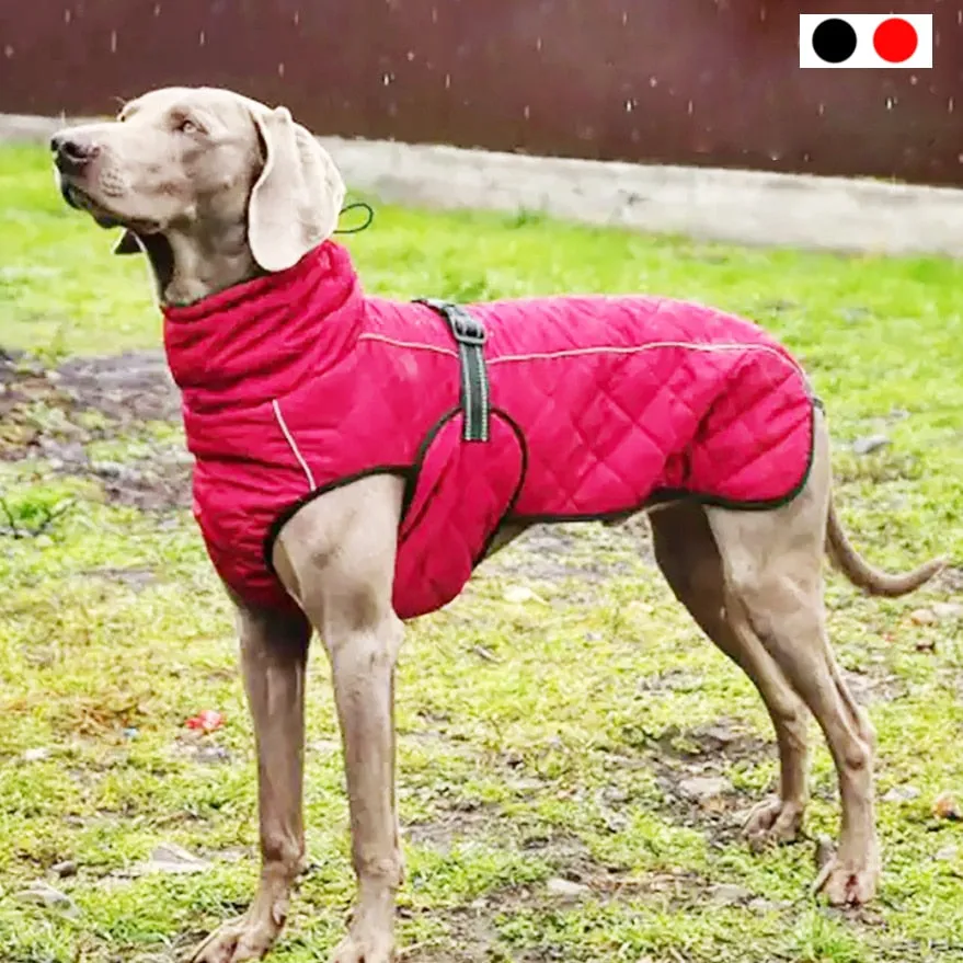 Dog Outdoor Jacket Waterproof Reflective Pet Coat Vest Winter Warm Cotton Dogs Clothing for Large Medium Dogs