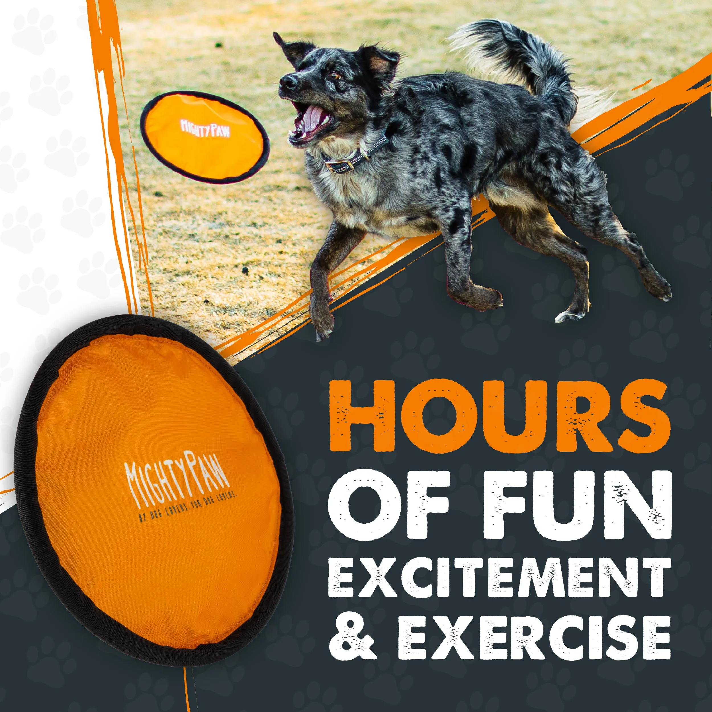 Durable Nylon Dog Frisbee (2 Pack) by Mighty Paw