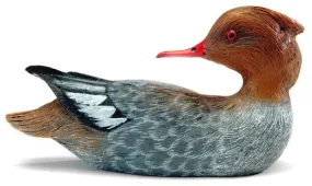 Female Red-breasted Merganser