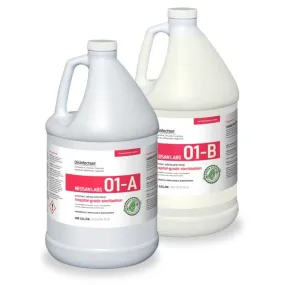 NeoSan Labs 01 DISINFECTANT 2 X (A&B)